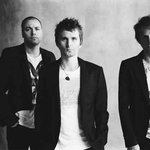 Muse